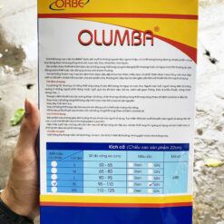 dai lung olumba 5